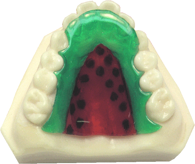 Color watermelon